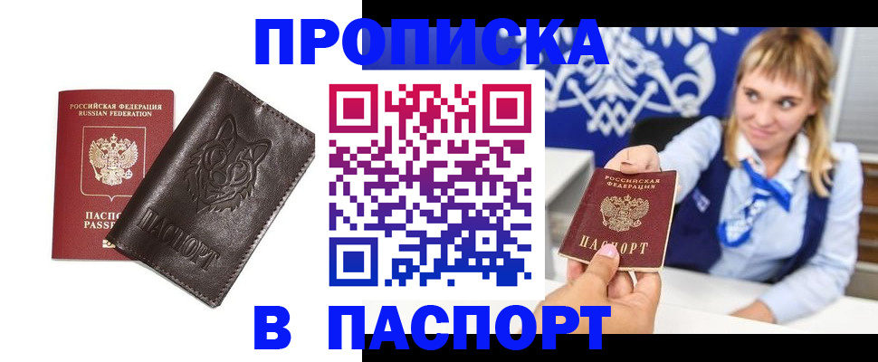 где прописаться в Петропавловске-Камчатском